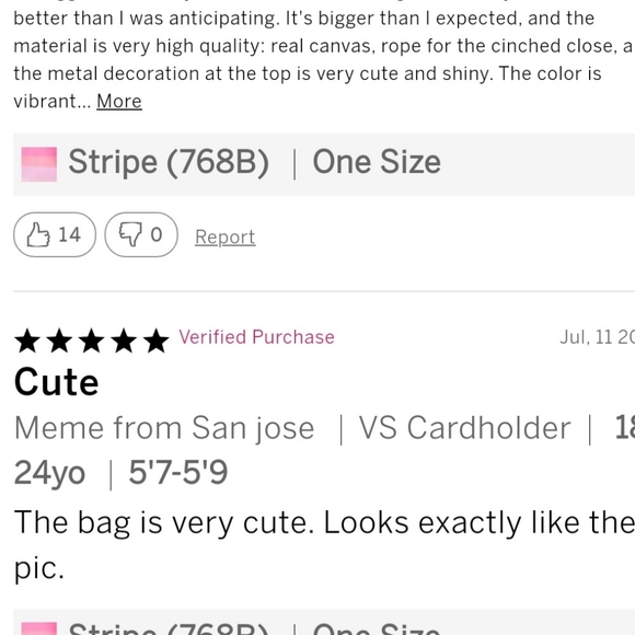 VICTORIA'S SECRET Striped Cinch Backpack Bag - Picture 4 of 10